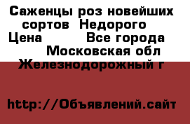 Саженцы роз новейших сортов. Недорого. › Цена ­ 350 - Все города  »    . Московская обл.,Железнодорожный г.